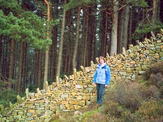 Steep wall, Howden