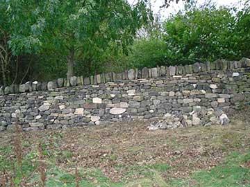 Field wall, Upper Midhope
